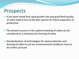 Cage Culture of Grouper and Cobia