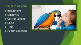 Things to concern
 Regulations
 Longevity
 Cost of upkeep
 Noise
 Time
 Health concerns
 