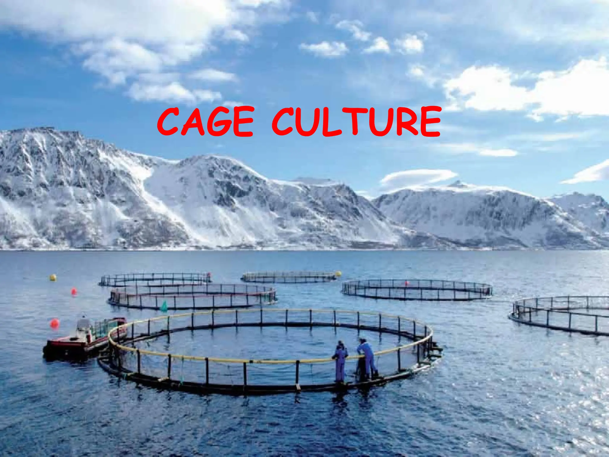 Cage culture .farming techniques and its importance | PPTX