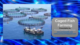 Caged Fish
Farming
Presentation by
Primary Information Services
www.primaryinfo.com
mailto:primaryinfo@gmail.com
 