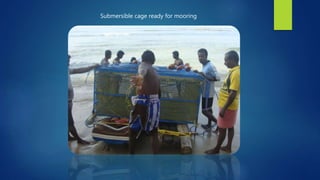 Submersible cage ready for mooring
 