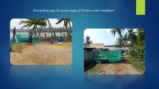 Dismantling type GI square cages of 4mx4m under installation
 