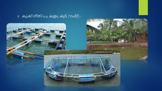 i) കൃഷി ര്ീതി (e.g. കുളം, കൂട്, റാഫ്റ്റ് )
 