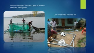 Dismantling type GI square cages of 4mx4m
ready for deployment
Low cost ballast for inner net
 