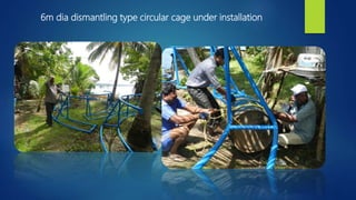6m dia dismantling type circular cage under installation
 