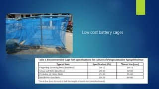 Low cost battery cages
 
