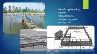നഴ്സറി വളർത്തലിനും
വളരുന്ന
വിഭവങ്ങൾക്കും
ദ്രനതയകം കൂെുകൾ
ആവശയമാണ്.
 