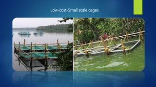 Low-cost-Small scale cages
 