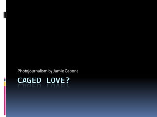 Caged Love? Photojournalism by Jamie Capone 