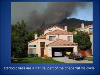 J. Zorn

Periodic fires are a natural part of the chaparral life cycle.

 