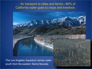 … for transport to cities and farms—80% of
California water goes to crops and livestock.

The Los Angeles Aqueduct carries water
south from the eastern Sierra Nevada.

 