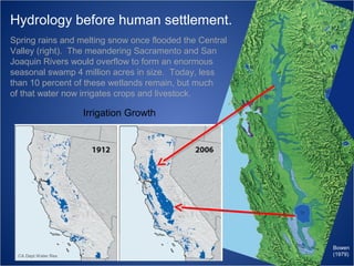 Hydrology before human settlement.
Spring rains and melting snow once flooded the Central
Valley (right). The meandering Sacramento and San
Joaquin Rivers would overflow to form an enormous
seasonal swamp 4 million acres in size. Today, less
than 10 percent of these wetlands remain, but much
of that water now irrigates crops and livestock.

Irrigation Growth

CA Dept Water Res

Bowen
(1979)

 