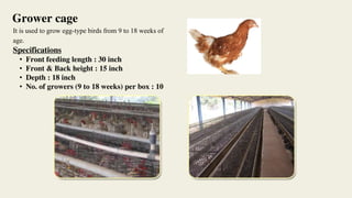 It is used to grow egg-type birds from 9 to 18 weeks of
age.
Specifications
• Front feeding length : 30 inch
• Front & Back height : 15 inch
• Depth : 18 inch
• No. of growers (9 to 18 weeks) per box : 10
Grower cage
 