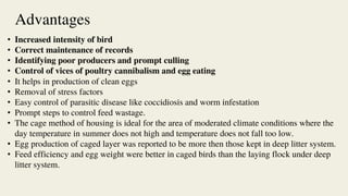 Advantages
• Increased intensity of bird
• Correct maintenance of records
• Identifying poor producers and prompt culling
• Control of vices of poultry cannibalism and egg eating
• It helps in production of clean eggs
• Removal of stress factors
• Easy control of parasitic disease like coccidiosis and worm infestation
• Prompt steps to control feed wastage.
• The cage method of housing is ideal for the area of moderated climate conditions where the
day temperature in summer does not high and temperature does not fall too low.
• Egg production of caged layer was reported to be more then those kept in deep litter system.
• Feed efficiency and egg weight were better in caged birds than the laying flock under deep
litter system.
 