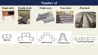 Single-deck Double-deck Triple-deck Four-deck Flat-deck
Number of
rows
 