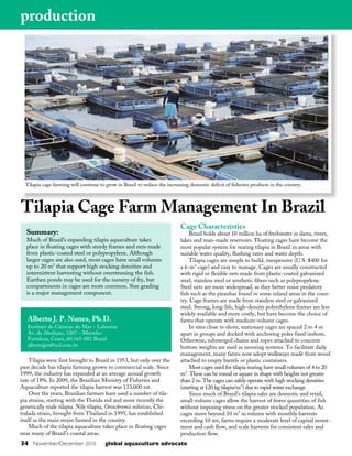 34 November/December 2010 global aquaculture advocate
Tilapia were first brought to Brazil in 1953, but only over the
past decade has tilapia farming grown to commercial scale. Since
1999, the industry has expanded at an average annual growth
rate of 18%. In 2009, the Brazilian Ministry of Fisheries and
Aquaculture reported the tilapia harvest was 133,000 mt.
Over the years, Brazilian farmers have used a number of tila-
pia strains, starting with the Florida red and more recently the
genetically male tilapia. Nile tilapia, Oreochromis niloticus, Chi-
tralada strain, brought from Thailand in 1995, has established
itself as the main strain farmed in the country.
Much of the tilapia aquaculture takes place in floating cages
near many of Brazil’s coastal areas.
Cage Characteristics
Brazil holds about 10 million ha of freshwater in dams, rivers,
lakes and man-made reservoirs. Floating cages have become the
most popular system for rearing tilapia in Brazil in areas with
suitable water quality, flushing rates and water depth.
Tilapia cages are simple to build, inexpensive (U.S. $400 for
a 6-m3
cage) and easy to manage. Cages are usually constructed
with rigid or flexible nets made from plastic-coated galvanized
steel, stainless steel or synthetic fibers such as polypropylene.
Steel nets are more widespread, as they better resist predatory
fish such as the piranhas found in some inland areas in the coun-
try. Cage frames are made from stainless steel or galvanized
steel. Strong, long-life, high-density polyethylene frames are less
widely available and more costly, but have become the choice of
farms that operate with medium-volume cages.
In sites close to shore, stationary cages are spaced 2 to 4 m
apart in groups and docked with anchoring poles fixed inshore.
Otherwise, submerged chains and ropes attached to concrete
bottom weights are used as mooring systems. To facilitate daily
management, many farms now adopt walkways made from wood
attached to empty barrels or plastic containers.
Most cages used for tilapia rearing have small volumes of 4 to 20
m3
. These can be round or square in shape with heights not greater
than 2 m. The cages can safely operate with high stocking densities
(starting at 120 kg tilapia/m3
) due to rapid water exchange.
Since much of Brazil’s tilapia sales are domestic and retail,
small-volume cages allow the harvest of fewer quantities of fish
without imposing stress on the greater stocked population. As
cages move beyond 10 m3
in volume with monthly harvests
exceeding 10 mt, farms require a moderate level of capital invest-
ment and cash flow, and scale harvests for consistent sales and
production flow.
Alberto J. P. Nunes, Ph.D.
Instituto de Ciências do Mar – Labomar
Av. da Abolição, 3207 – Meireles
Fortaleza, Ceará, 60.165-081 Brazil
albertojpn@uol.com.br
production
Tilapia Cage Farm Management In Brazil
Tilapia cage farming will continue to grow in Brazil to reduce the increasing domestic deficit of fisheries products in the country.
Summary:
Much of Brazil’s expanding tilapia aquaculture takes
place in floating cages with sturdy frames and nets made
from plastic-coated steel or polypropylene. Although
larger cages are also used, most cages have small volumes
up to 20 m3
that support high stocking densities and
intermittent harvesting without overstressing the fish.
Earthen ponds may be used for the nursery of fry, but
compartments in cages are more common. Size grading
is a major management component.
 
