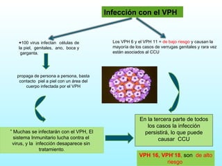 Infección con el VPH  propaga de persona a persona, basta contacto  piel a piel con un área del cuerpo infectada por el VPH + 100 virus infectan  células de la piel,  genitales,  ano,  boca y  garganta.  Los VPH 6 y el VPH 11 =  de bajo riesgo  y causan la  mayoría de los casos de verrugas genitales y rara vez  están asociados al CCU VPH 16, VPH 18 ,  son  de alto riesgo  ”   Muchas se infectarán con el VPH, El sistema Inmunitario lucha contra el  virus, y la  infección desaparece sin  tratamiento . En la tercera parte de todos los casos la infección persistirá, lo que puede causar  CCU .  