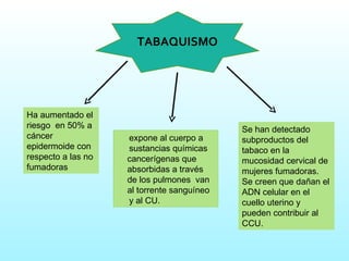TABAQUISMO Ha aumentado el riesgo  en 50% a cáncer epidermoide con respecto a las no fumadoras expone al cuerpo a  sustancias químicas  cancerígenas que absorbidas a través de los pulmones  van al torrente sanguíneo y al CU. Se han detectado subproductos del tabaco en la mucosidad cervical de mujeres fumadoras. Se creen que dañan el ADN celular en el cuello uterino y pueden contribuir al CCU.  