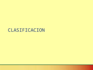 CLASIFICACION 