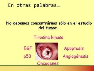 En otras palabras… No debemos concentrárnos sólo en el estudio del tumor… Oncogenes EGF p53 Angiogénesis Apoptosis Tirosina kinasa 
