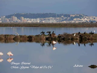 Images: InternetMusic: Gigione “Valzer del Cu Cu”Adriana