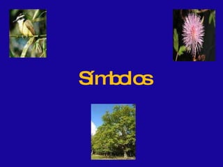 Símbolos 