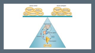 Congenital Adrenal Hyperplasia (CAH) | PPTX