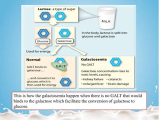 This is how the galactosemia happen when there is no GALT that would
binds to the galactose which facilitate the conversion of galactose to
glucose.
 