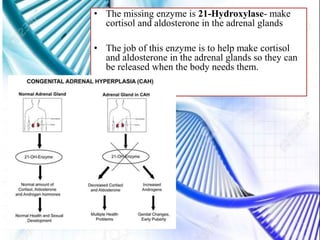 • The missing enzyme is 21-Hydroxylase- make
cortisol and aldosterone in the adrenal glands
• The job of this enzyme is to help make cortisol
and aldosterone in the adrenal glands so they can
be released when the body needs them.
 