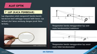 Lup digunakan untuk mengamati benda-benda
berukuran kecil sehingga tampak lebih besar. Lup
terbuat dari lensa cembung dengan jarak fokus
tertentu.
Sumber : pixabay.com/Coyot
Pengamatan benda menggunakan lup saaat
mata tidak berakomodasi
Pengamatan benda menggunakan lup saat
mata berakomodasi maksimum
 LUP (KACA PEMBESAR)
ALAT OPTIK
 