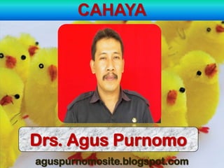 CAHAYA




Drs. Agus Purnomo
aguspurnomosite.blogspot.com
 