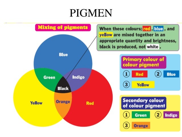 Cahaya, warna & penglihatan