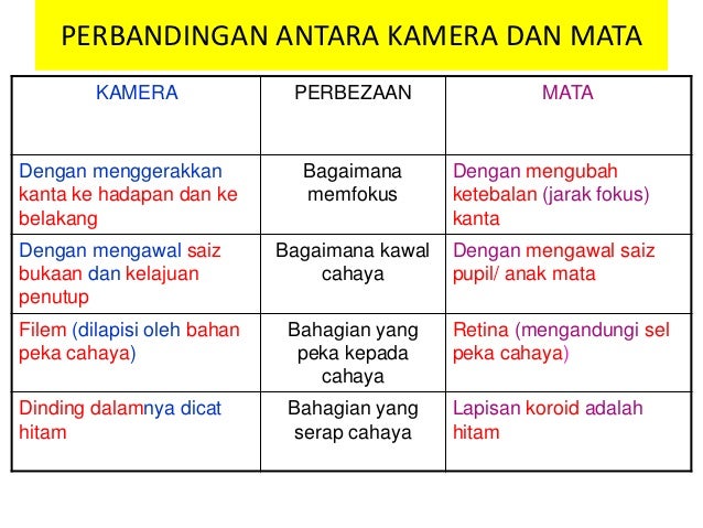 Sebutkan Persamaan Dan Perbedaan Antara Mata Dan Kamera