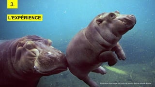 3.
L’EXPÉRIENCE
Illustration d’un nudge (ou coup de pouce) dans le Monde Animal
 