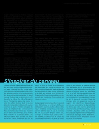 16  — 17
Les cahiers de veille de la Fondation Télécom
On peut constater que les neurones connectés
aux sens n'ont pas un accès direct au cortex.
Un relais s'effectue dans les centres sous-
corticaux comme le thalamus. Il en est de même
des autres entrées du cortex, en provenance
des aires motrices ou associatives. Un grand
nombre d'entrées au cortex provient enfin
du cortex lui-même, d'un même hémisphère
ou de l'hémisphère opposé. La couche IV,
celle des cellules étoilées, dont les axones
s'étendent horizontalement dans cette couche,
constitue la porte d'entrée principale du
cortex. Ici s'établissent des connexions entre
fibres montantes (les entrées) qui s'éclatent
en une arborisation sphérique, avec d'autres
fibres verticales et les cellules étoilées, une
influence latérale étant possible. On arrive
ensuite aux cellules pyramidales qui sont les
portes de sortie du cortex, qui ne s'éloignent
pas sans établir des boucles de réentrée via
des connexions collatérales, avant de rejoindre
les centres sous-corticaux comme le thalamus
et y établir une seconde forme de réentrée.
Finalement les influx nerveux sont transmis par
exemple aux muscles par l'intermédiaire des
neurones moteurs.
La topologie et la connectique du cerveau sont
deux éléments qui se renforcent. L'influence
latérale entre neurones proches est souvent de
nature inhibitrice. Ceci permet, par exemple,
de bien délimiter dans le cas de neurones
liés à la peau le point d'impact sur les sens,
et ne pas le véhiculer bruité jusqu'au cortex.
On identifie par ailleurs dans le cortex des
colonnes fonctionnelles. C'est le cas du cortex
visuel où des colonnes de matériel neuronal
sont spécialisées dans la reconnaissance des
couleurs, d'autres dans l'orientation de l'objet
observé, et d'autres encore sont spécifiques
à tel ou tel œil. Les voisinages au niveau des
sens, ainsi que la topologie, sont conservés
au sein de cartes d'axones puis dans le cortex
au sein de cartes de neurones. L'étude des
échanges entre ces groupes de neurones a
suggéré des algorithmes d'apprentissage,
comme ceux construits sur la règle de Hebb,
qui énonce que « des neurones qui stimulent
en même temps, sont des neurones qui se lient
ensemble », hypothèse vérifiée plus tard dans
les synapses d'un gastropode marin. Épigénèse,
connectique, topologie, règles d'activation…
sont autant de sources d'inspiration pour de
futures IA neuro-inspirées.
Il s'agit à présent de lier ces modèles, d'une part
en amont aux procédés connus ou à découvrir
de l'apprentissage machine, d'autre part en aval
aux mécanismes de la communication céré-
brale. L'apprentissage machine sur réseaux de
neurones, sous l'impulsion d'acteurs industriels
majeurs, fait aujourd'hui l'objet d'une Recherche
& Développement de grande ampleur et am-
bitieuse. Cependant, les méthodes mises en
œuvre requièrent d'énormes moyens de calcul,
qui ne correspondent pas aux aptitudes du
cerveau humain ni à sa consommation d'éner-
gie. Là encore, une meilleure compréhension
des mécanismes sensoriels naturels permet
d'orienter la recherche vers des solutions algo-
rithmiques bien plus efficaces parce que véri-
tablement neuro-inspirées. Quant à la commu-
nication cérébrale, sous ses aspects purement
informationnels, peu d'équipes à travers le
monde s'attellent à la modéliser et à en exploi-
ter les principes.
L'objectif principal d'une telle thématique de re-
cherche est la spécification, la conception et le
test de machines informatiques connexionnistes
cortico-inspirées capables d'emmagasiner de
grandes quantités d'information et de les croiser
pour pouvoir répondre à des questions inédites.
Ces machines, appelées à devenir les auxiliaires
intellectuels dont l'humanité aura besoin dans
les années à venir pour l'aider à répondre à des
défis de plus en plus nombreux et prégnants,
fonctionneront à la vitesse électronique, c'est-
à-dire un million de fois plus rapidement que le
cerveau humain, auront des capacités d'appren-
tissage des centaines de fois plus étendues que
ce dernier, mais devront être conçues à la façon
du cortex et non pas selon le modèle informa-
tique classique. Seule une machine connexion-
niste neuro-inspirée pourra offrir cette propriété
de l'intelligence, avec les avantages supplémen-
taires de la vitesse électronique et de capacités
mnésiques accrues.
Pour avancer dans cette direction, il faut
réunir des scientifiques issus de disciplines
aujourd'hui aussi distantes que peuvent
l'être, par exemple, la neuropsychologie et
la théorie de l'information. Il faut rassembler
des chercheurs et des ingénieurs issus des
disciplines des neurosciences traditionnelles
(neurobiologie, neuropsychologie, imagerie…),
des sciences de l'information (informatique,
théorie de l'information, apprentissage…),
des mathématiques (théorie des graphes,
probabilités…) et de l'électronique (architecture
et circuits). La thématique dont l'équipe de
recherche Neucod à Télécom Bretagne préconise
la consolidation sera la première réponse
française à ce besoin d'interdisciplinarité,
voire de transdisciplinarité, lesquelles devront
allier excellence de la recherche et souci de
l'application et du transfert industriel.
Parmi les principaux axes de travail d'un grand
projet tel que celui-ci, on peut citer :
•	 l'élaboration de modèles connexionnistes
de représentation et de mémorisation de
l’information mentale, ouvrant la voie à
de nouvelles techniques de classification
et de généralisation,
•	 la modélisation de la transmission de
l’information dans le cerveau,
•	 la modélisation de l'intentionnalité, de
la pertinence, de la motivation, de la
préférence, de la curiosité et de quelques
autres concepts fondamentaux des
sciences cognitives,
•	 la recherche d'éléments de validation de
ces modèles par l'imagerie cérébrale,
•	 l'étude d'architectures de circuits
neuromorphiques, analogiques et/ou
numériques,
•	 la diversification des domaines
d’applications de ces modèles
connexionnistes : mémoires associatives,
classifieurs, moteurs de recherche,
traitement du langage naturel, traduction,
... et bien sûr auxiliaires intellectuels
généralistes.
S'inspirer du cerveau
 