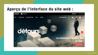 Aperçu de l’interface du site web :
 