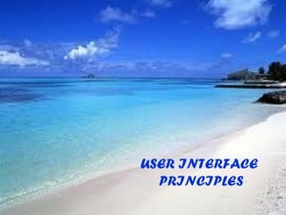USER INTERFACE
  PRINCIPLES
 