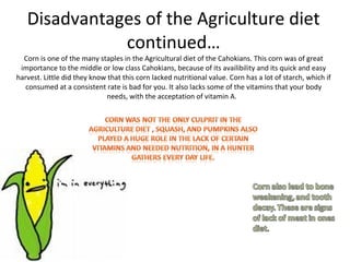 Disadvantages of the Agriculture diet continued… Corn is one of the many staples in the Agricultural diet of the Cahokians. This corn was of great importance to the middle or low class Cahokians, because of its availibility and its quick and easy harvest. Little did they know that this corn lacked nutritional value. Corn has a lot of starch, which if consumed at a consistent rate is bad for you. It also lacks some of the vitamins that your body needs, with the acceptation of vitamin A.  