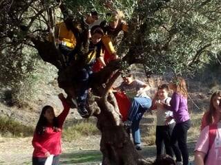 Excursión a los Cahorros 1º ESO C 2015-16