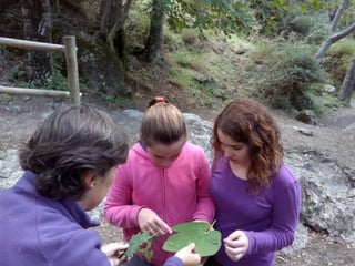 Excursión a los Cahorros 1º ESO C 2015-16
