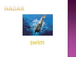 swim

 