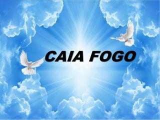 CAIA FOGO
 