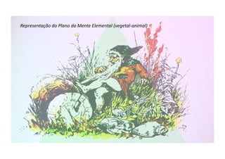 Representação	
  do	
  Plano	
  da	
  Mente	
  Elemental	
  (vegetal-­‐animal)	
  
 