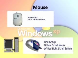 Mouse
 