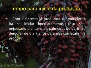 Tempo para inicio da produção
• Com a floresta já produzida a produção já
ira se iniciar imediatamente, caso seja
necessário plantar mais palmeiras de buriti ira
demorar de 6 a 7 anos para elas começarem a
produzir.
 