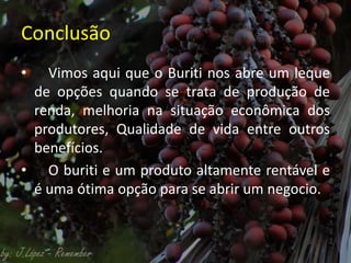Conclusão
• Vimos aqui que o Buriti nos abre um leque
de opções quando se trata de produção de
renda, melhoria na situação econômica dos
produtores, Qualidade de vida entre outros
benefícios.
• O buriti e um produto altamente rentável e
é uma ótima opção para se abrir um negocio.
 