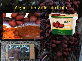 Alguns derivados do fruto
 