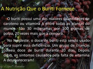 A Nutrição Que o Buriti Fornece
O buriti possui uma das maiores quantidades de
caroteno ou vitamina A entre todas as plantas do
mundo. São 30 miligramas por 100 gramas de
polpa, 20 vezes mais que a cenoura.
No Nordeste, o doce de buriti está sendo usado
para suprir essa deficiência. Um grupo de crianças
comeu doce de buriti durante 20 dias. Depois
disso, os sintomas causados pela falta de vitamina
A desapareceram!
 
