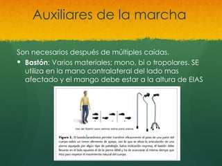Auxiliares de la marcha
Son necesarios después de múltiples caídas.
 Bastón: Varios materiales; mono, bi o tropolares. SE
utiliza en la mano contralateral del lado mas
afectado y el mango debe estar a la altura de EIAS
 