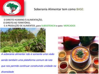 Caid Brasil 2009 MST